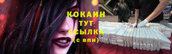 крисы Балахна